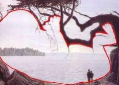 INCREDIBLE!!!!!!!!!!!!!!!!!!!!!!!!!!!